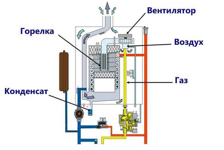 Напольный двухконтурный газовый котел: принцип работы и особенности при установке