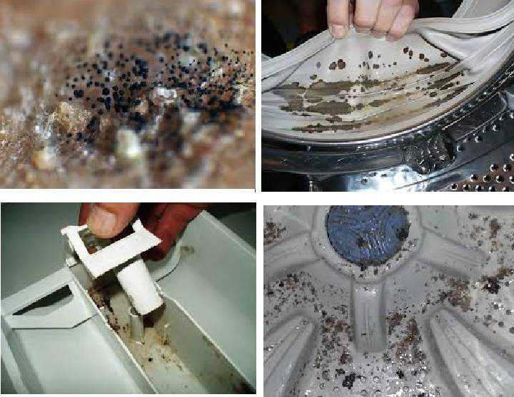 Плесень в стиральной машине – методы очистки и профилактики