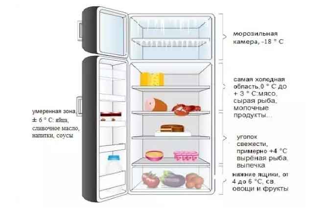 Оптимальная температура в холодильнике и морозильной камере Температурные зоны холодильника и распределение продуктов Температура в морозилке: максимальная и минимальная Как измерить температуру
