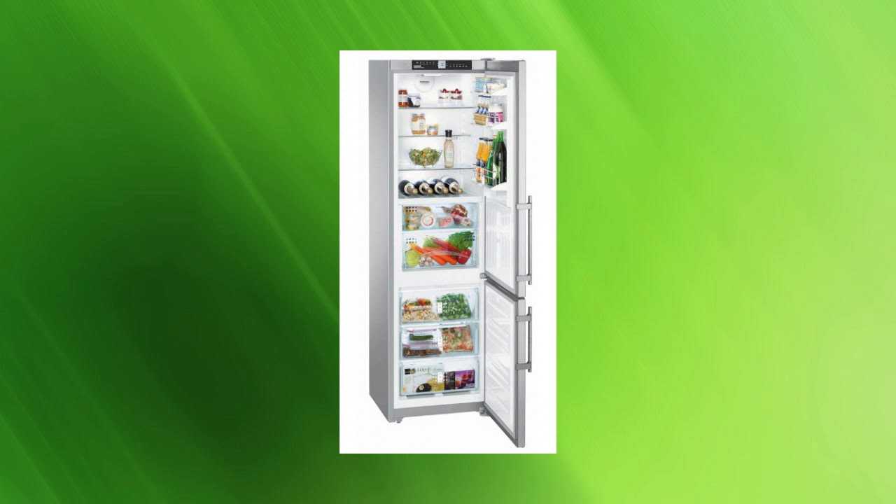 Рейтинг холодильников цена качество ноу фрост двухкамерный. Лучший холодильник ноу Фрост. Зеленый домашний холодильник. Холодильник бош двухкамерный ноу Фрост зеленый. LG ga-b509ceum.