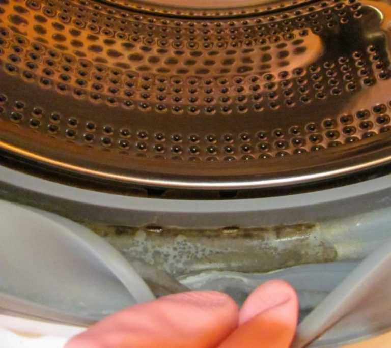 Плесень в стиральной машинке - как избавиться: очистить, убрать черную плесень, запах в машине автомат, как почистить резинку от черного грибка внутри, в лотке для порошка, сливном шланге при максимальной температуре | domovoda.club