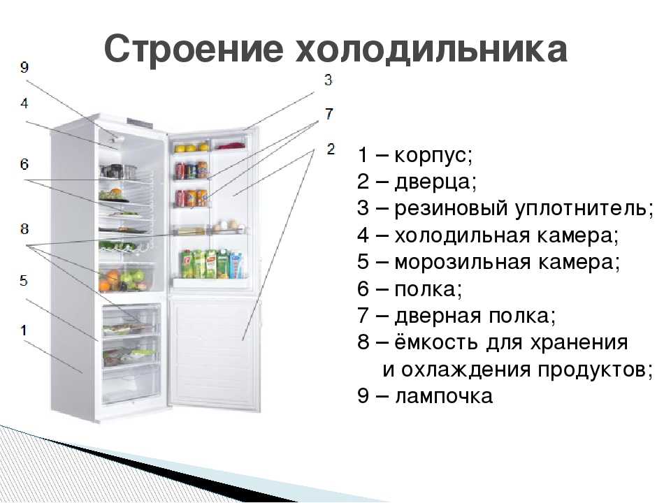 Устройство и принцип работы холодильника