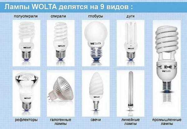Как выбрать хорошие лампочки для дома: виды, критерии выбора