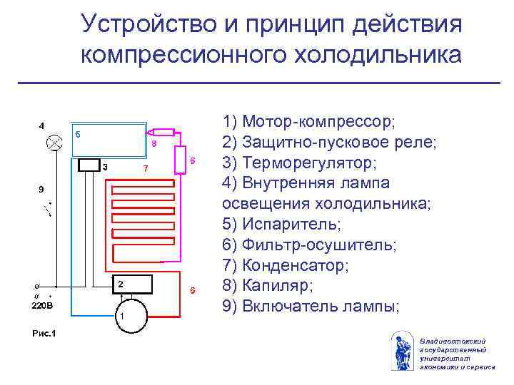 Устройство холодильника и принцип работы, как он устроен и из чего состоит
