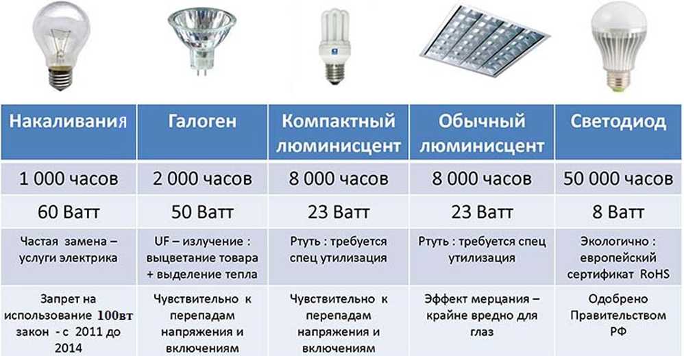 Какие виды лампочек существуют: обзор основных типов ламп + правила выбора лучшей