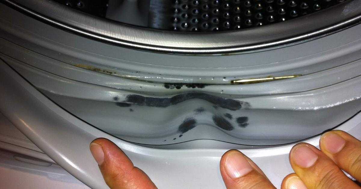 Черная плесень в стиральной машине: как от нее избавиться?