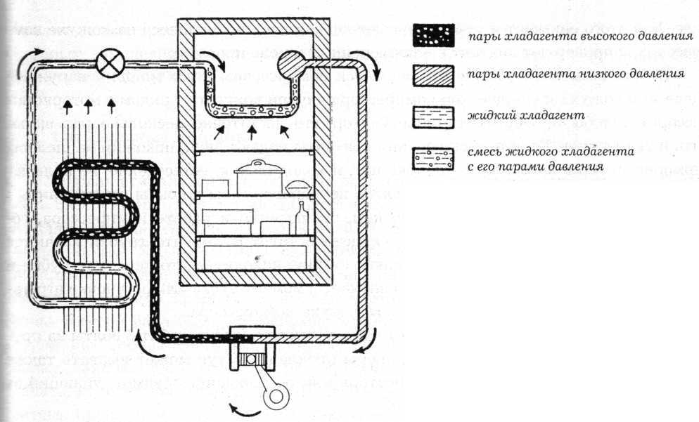 Принцип работы холодильника и схема его устройства: из чего состоит однокамерный и двухкамерный агрегат