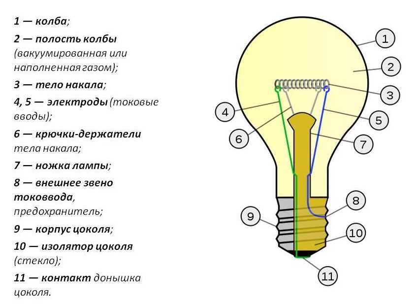 Какие бывают лампочки для дома: разновидности + нюансы выбора лучшей