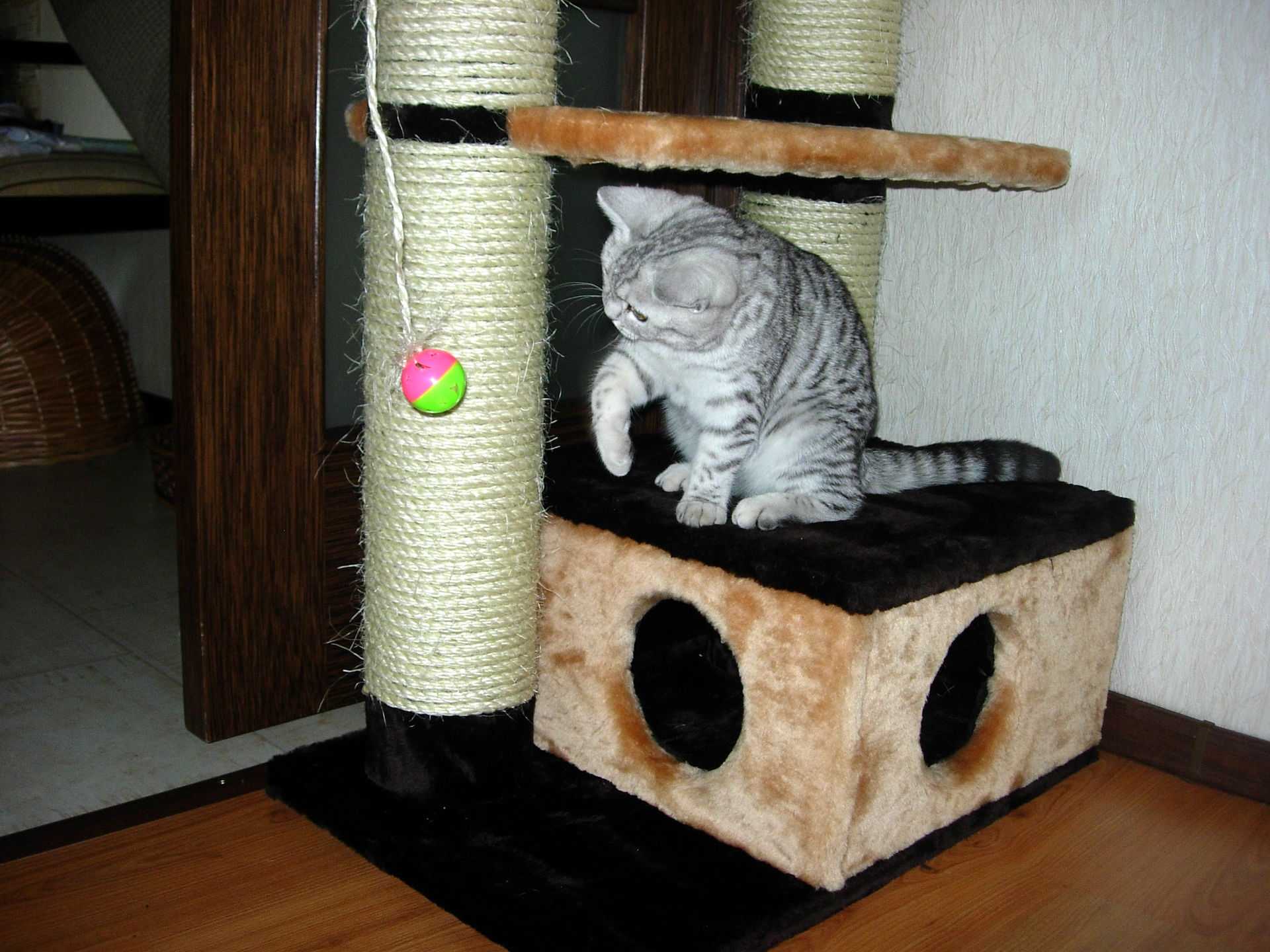 Домик для кошки своими руками: пошаговая инструкция, фото