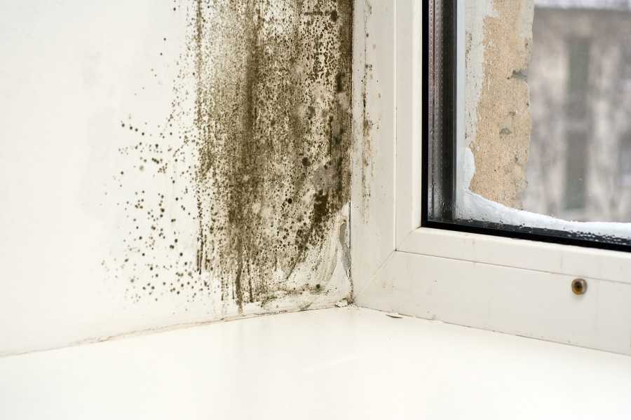 Как избавиться от влажности и сырости в квартире или доме, а также от сопутствующего запаха, способы устранения и полезные советы