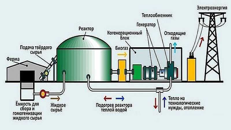 Биогаз из навоза – способы получения, установка своими руками