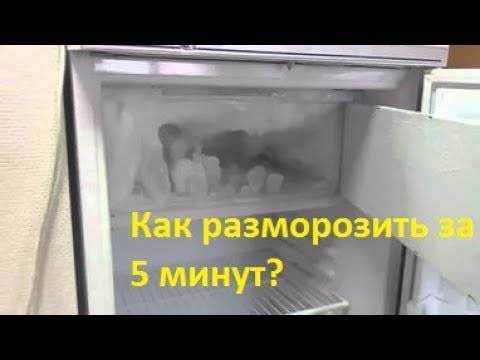 Как правильно разморозить холодильник с морозильной камерой, режимом ноу фрост или без него, в том числе быстрым способом