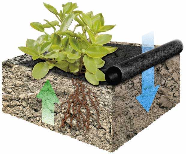 Применение геотекстиля в садоводстве: от сорняков, для дренажа, прудов