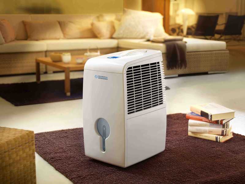 Выбор ионизатора воздуха для квартиры: главное, что нужно знать!