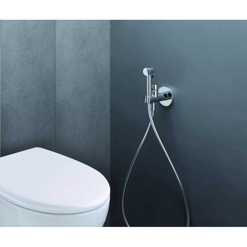 Гигиенический душ для унитаза со смесителем: каких видов бывает и самостоятельный монтаж