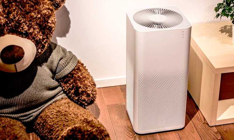 Очистители воздуха для аллергиков и астматиков: рейтинг приборов, облегчающих дыхание