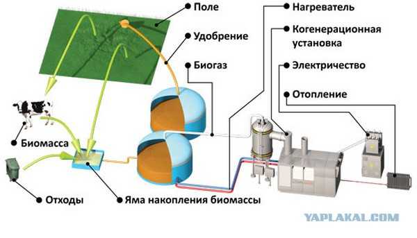 Биогазовые установки