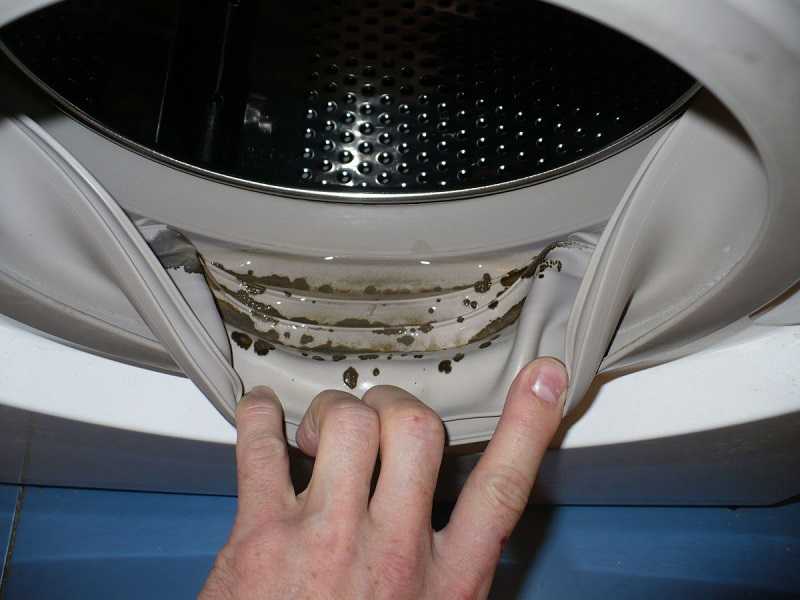 Как избавиться от плесени в стиральной машине — причины появления плесени
