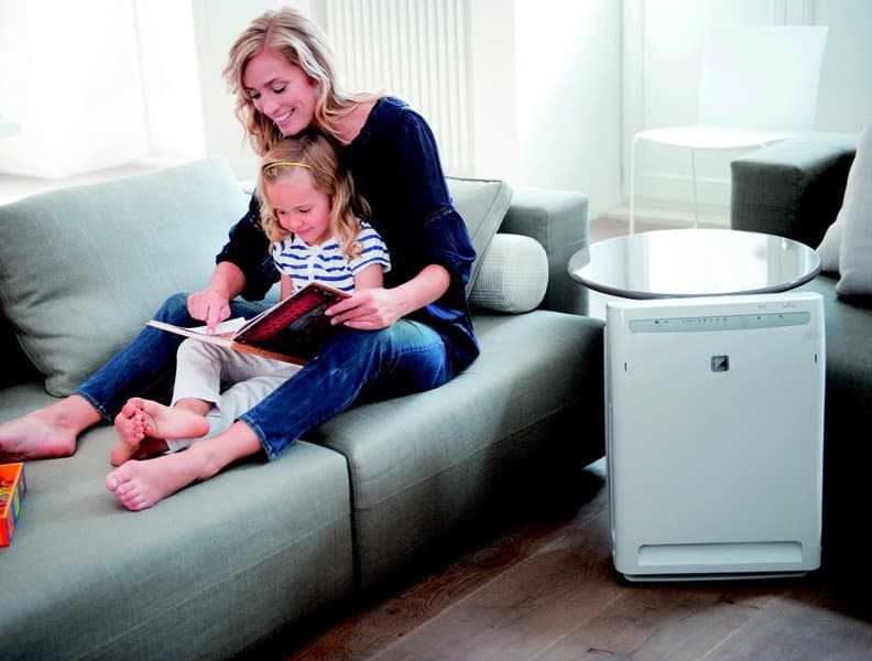 Очиститель воздуха для аллергиков и астматиков для квартиры: какой выбрать + отзывы
