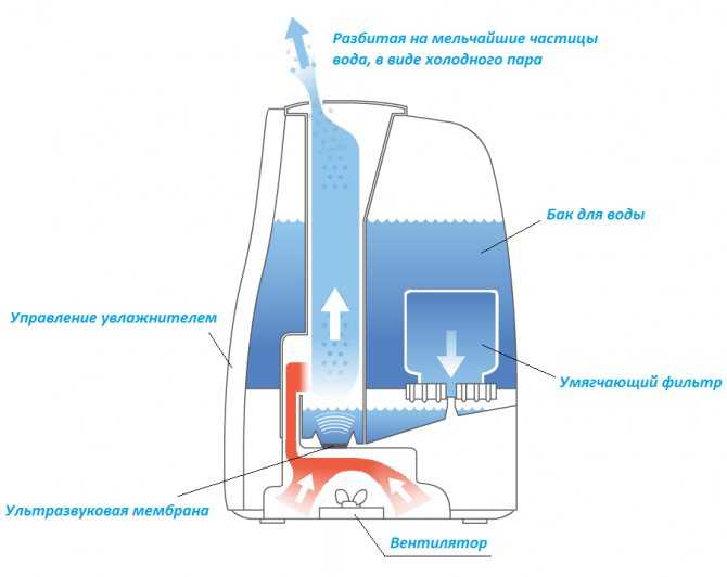 Как работает увлажнитель воздуха: устройство, принцип работы и разновидности приборов