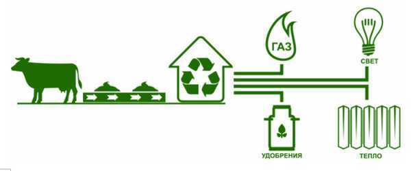 Биогаз из навоза: насколько выгодно и как сделать